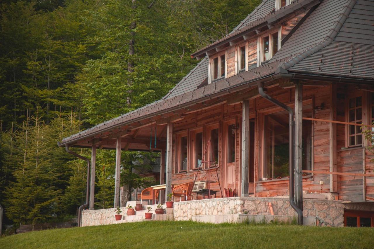 1400 Tara Apartment Mokra Gora