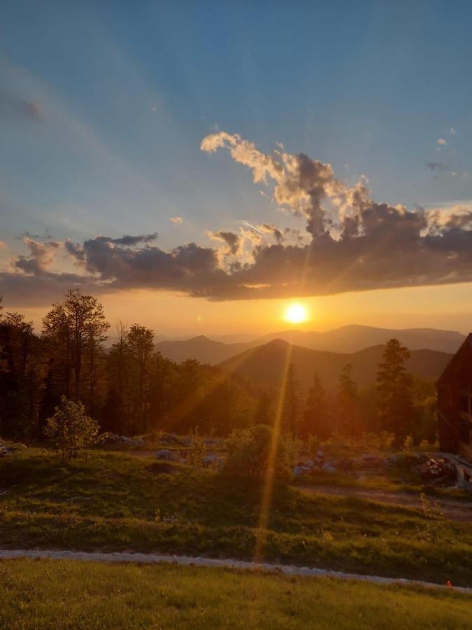 1400 Tara * Mokra Gora
