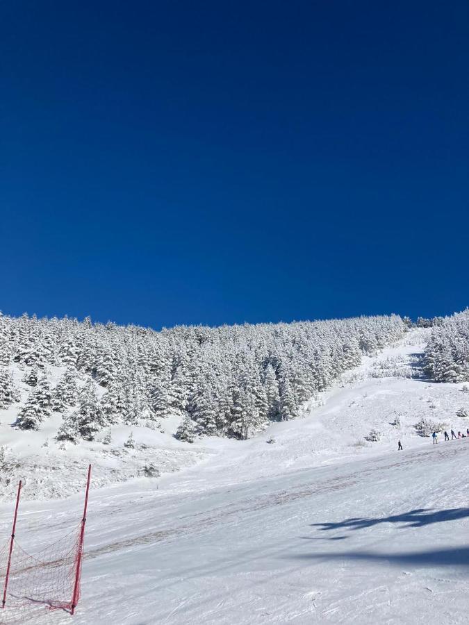 1400 Tara Apartment Mokra Gora
