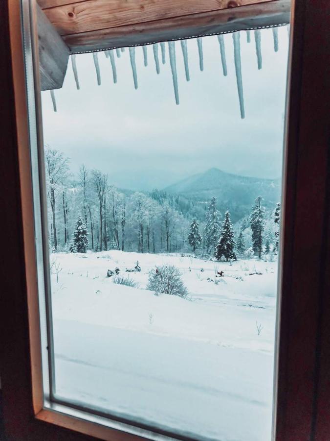 1400 Tara Mokra Gora